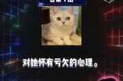 娱乐八卦爆料吃瓜视频,吃瓜视频带你领略明星幕后故事